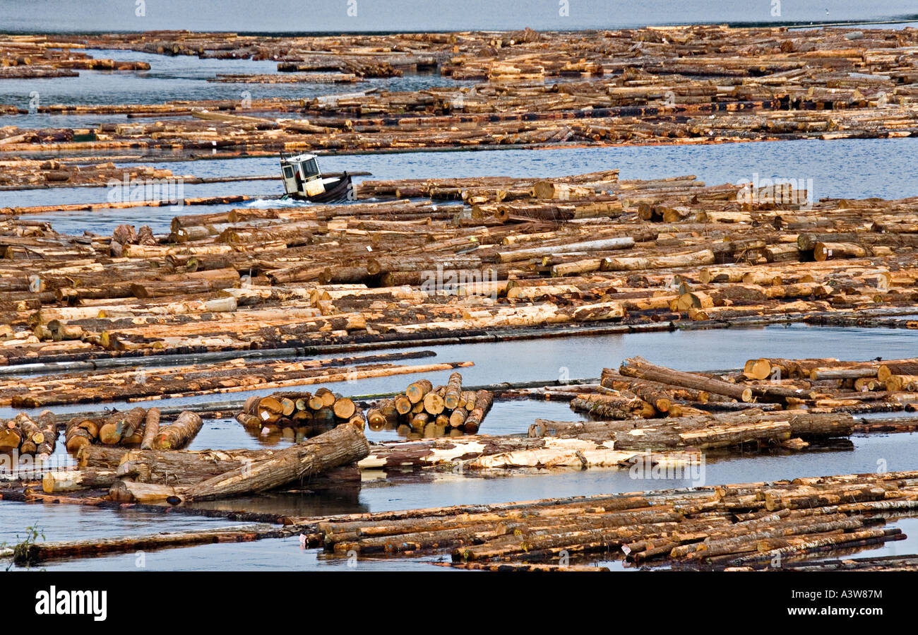 4,050 Log Floating Images, Stock Photos Vectors, 59 OFF