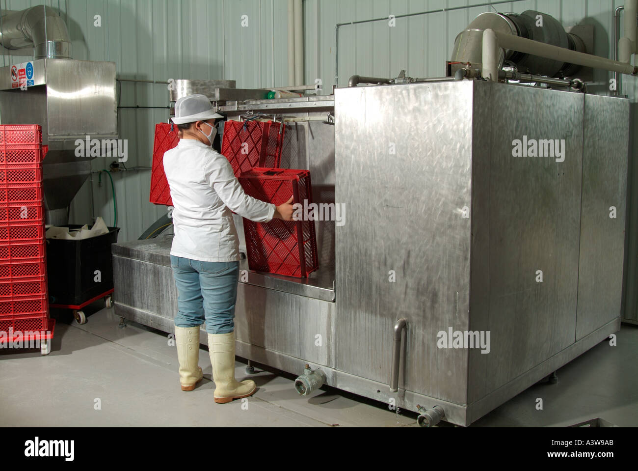 Cleaning process of hatchery trays where empty egg shells and waste are