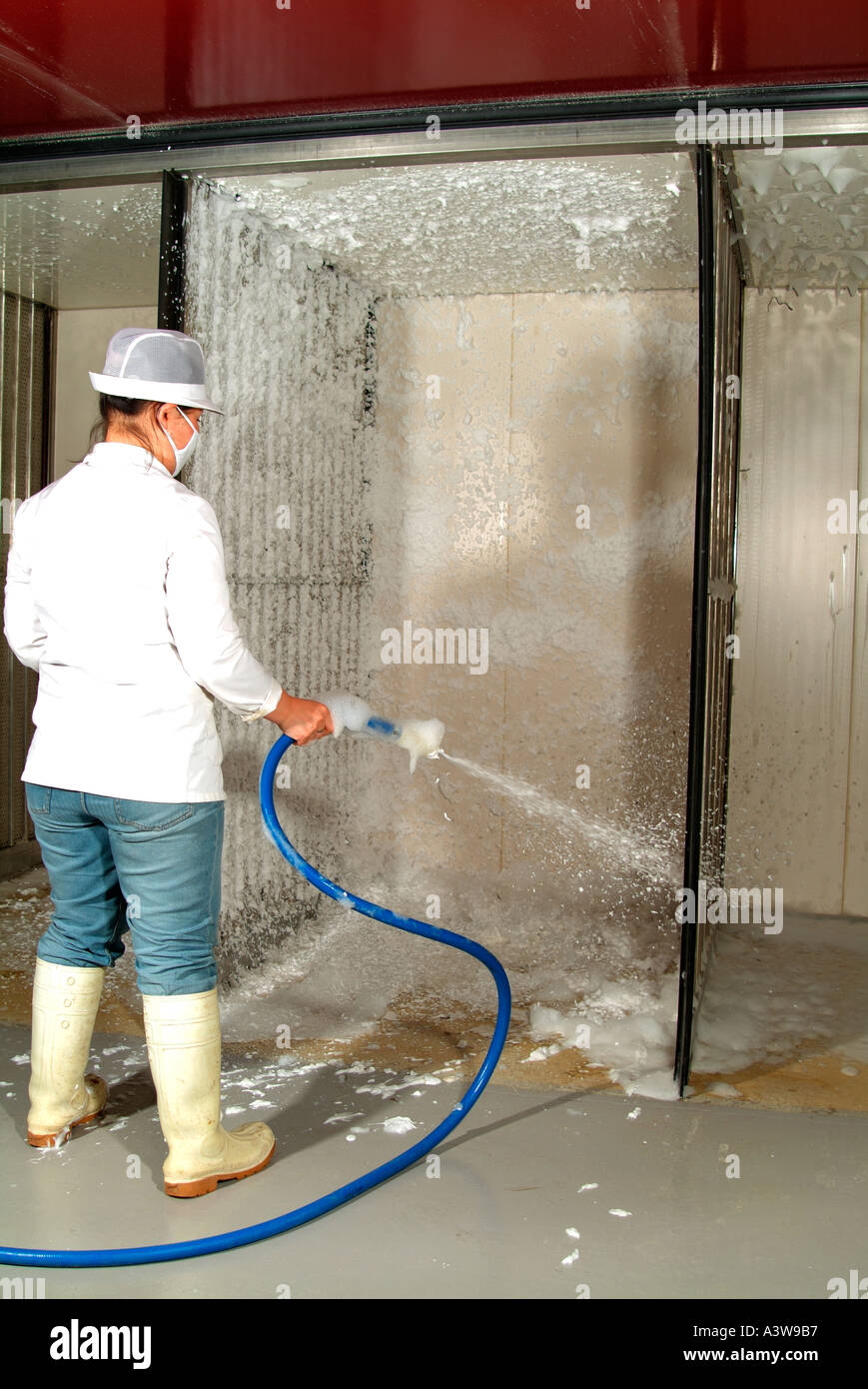 Hatchery is cleaned out using a mild caustic foam Stock Photo Alamy