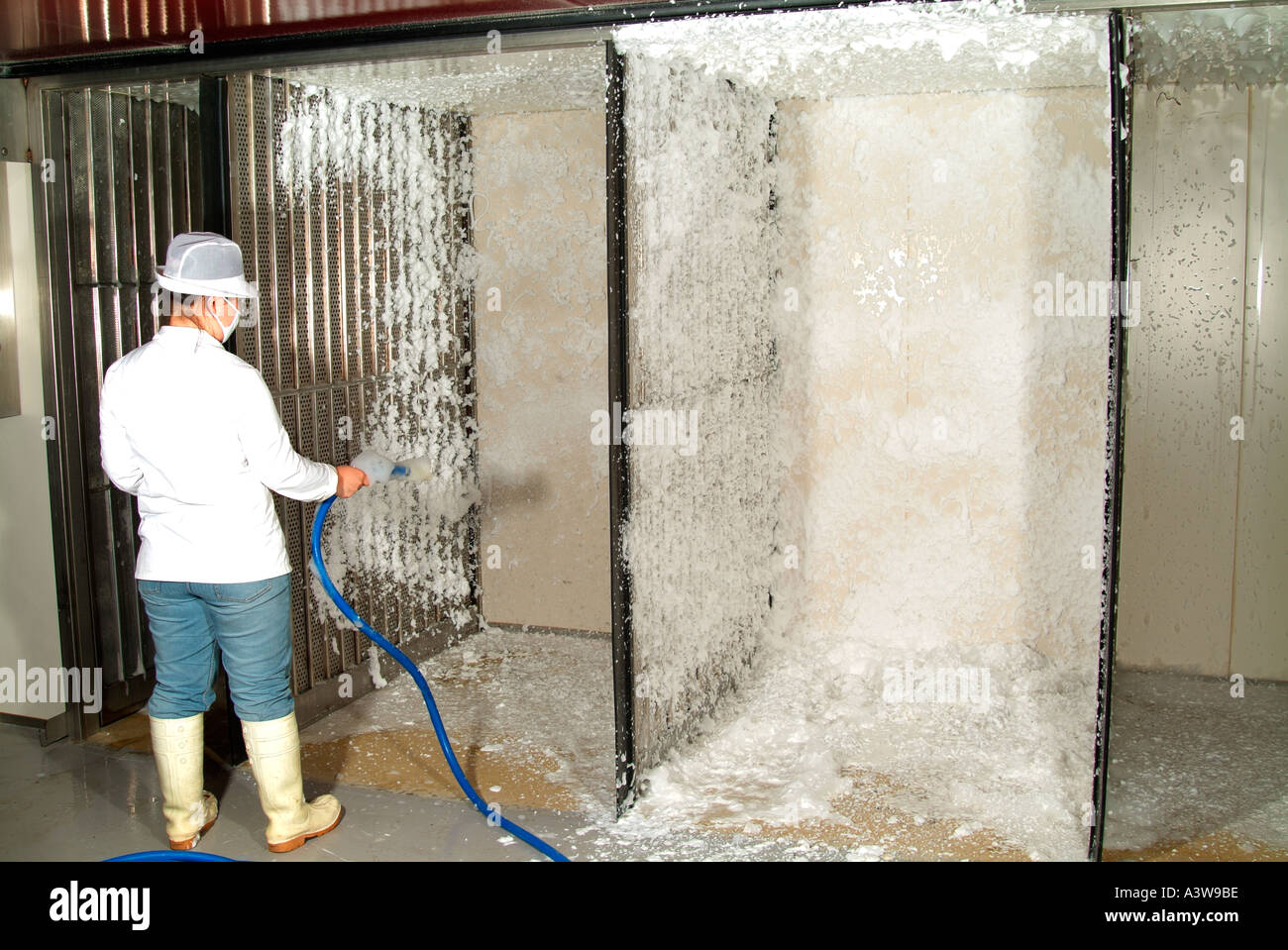 Hatchery is cleaned out using a mild caustic foam Stock Photo Alamy