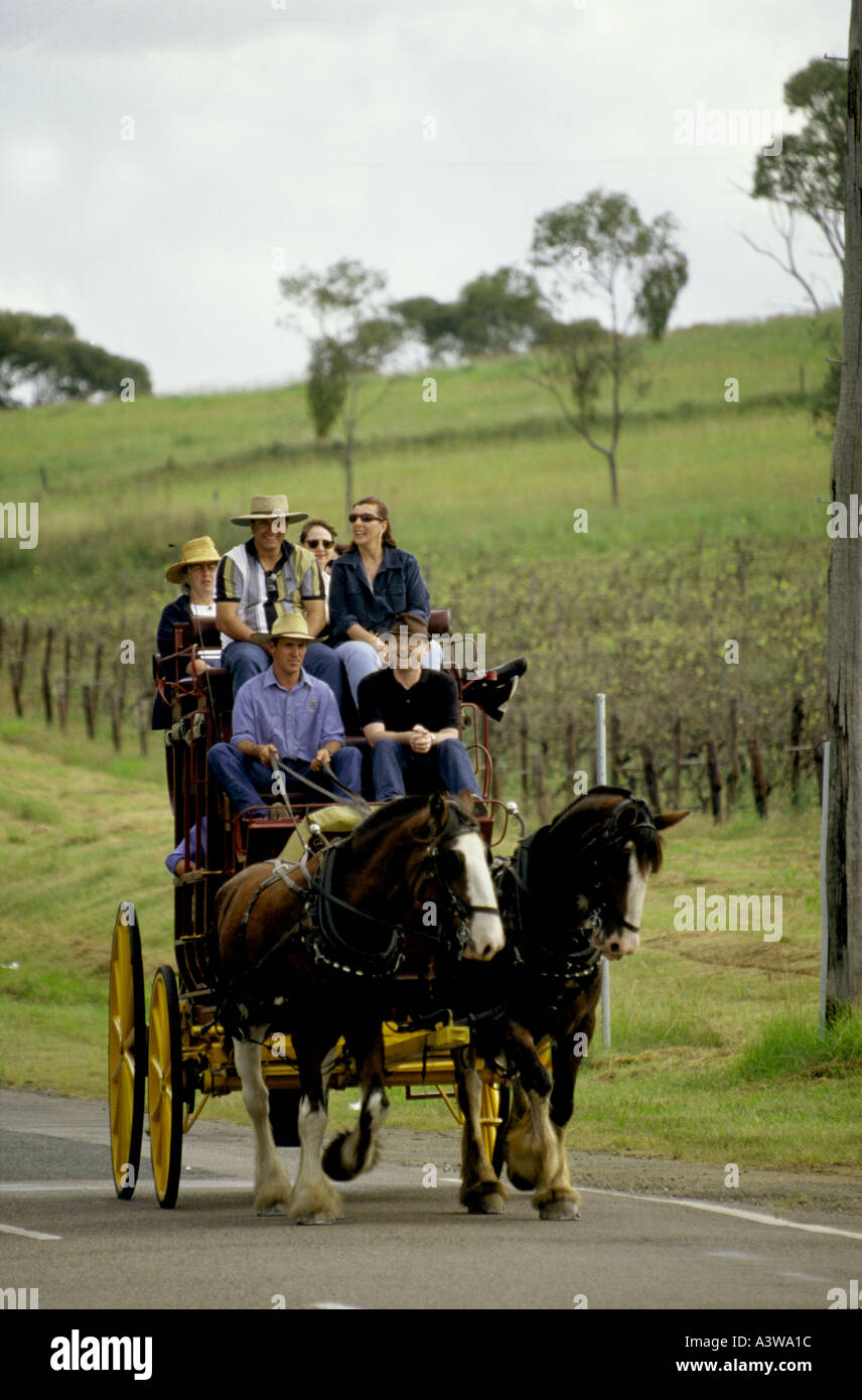 Stagecoach in Hunter Valley Wine country NSW Australia Stock Photo