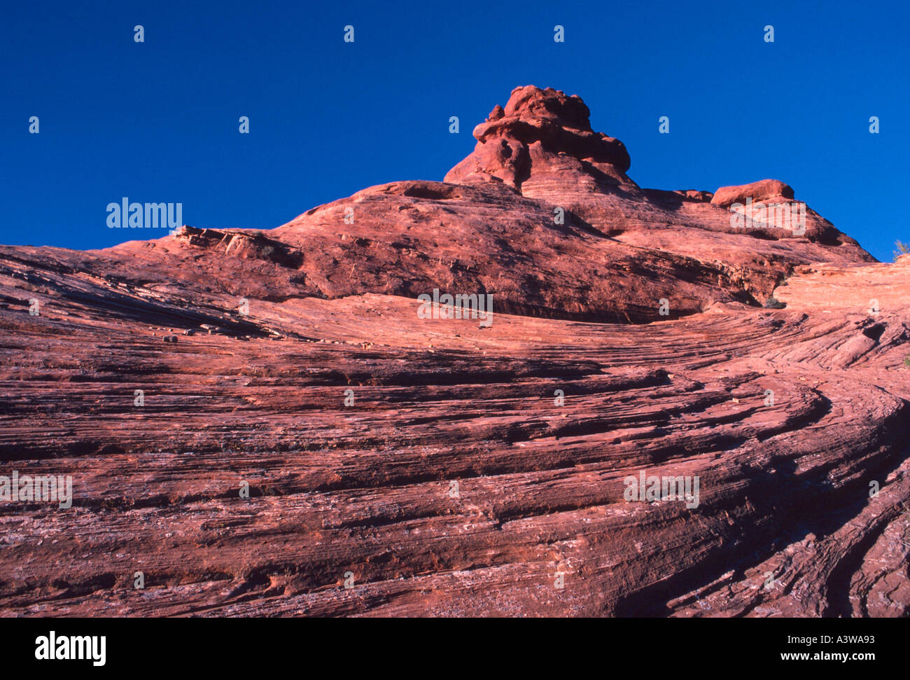 sweeping Entrada sandstone formation with desert varnish Windows area Arches National Park Moab Utah USA US U S 154189  Stock Photo