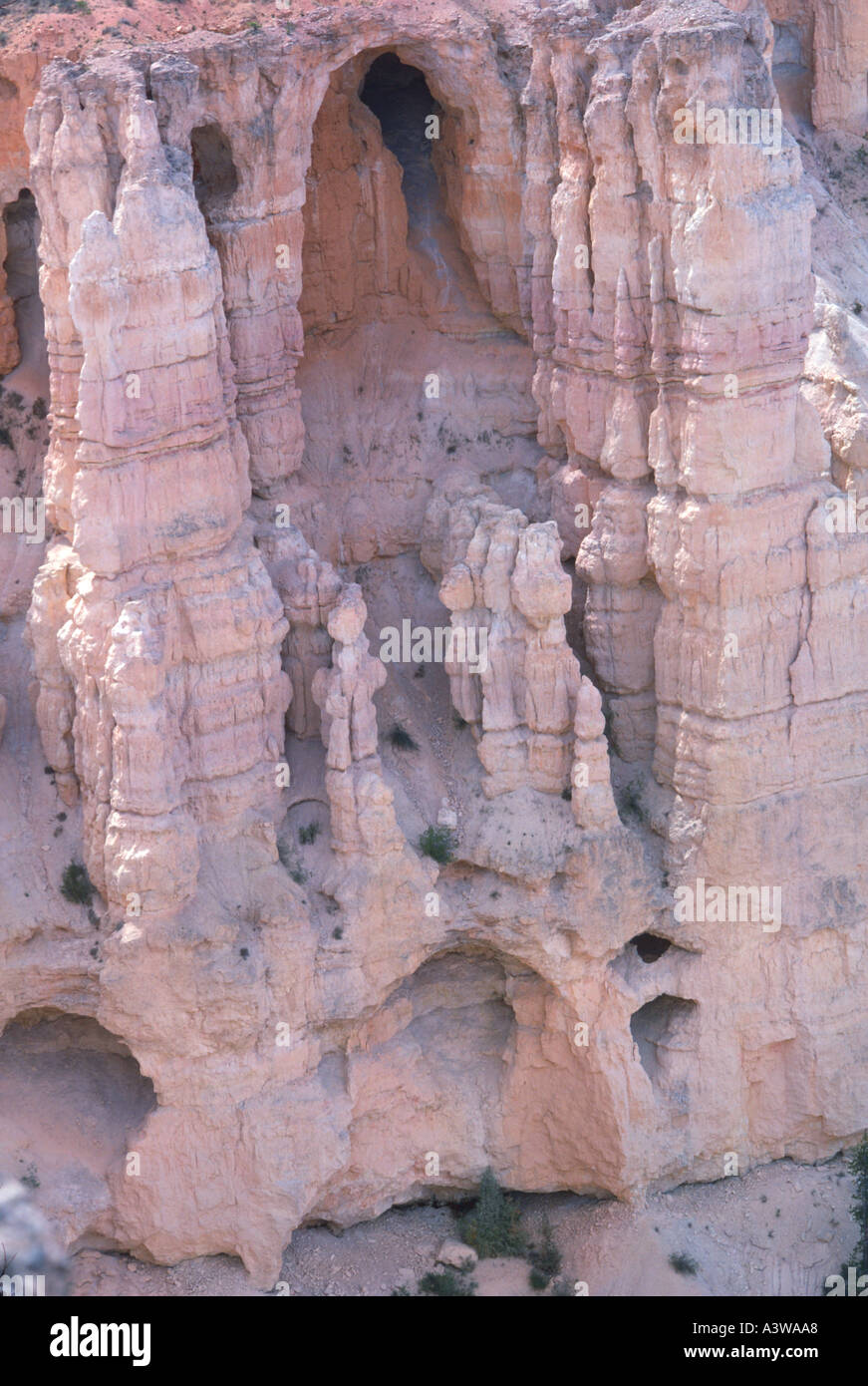 Hoodoos and Windows Bryce Point Bryce Canyon National Park Utah USA US U S 155087  Stock Photo