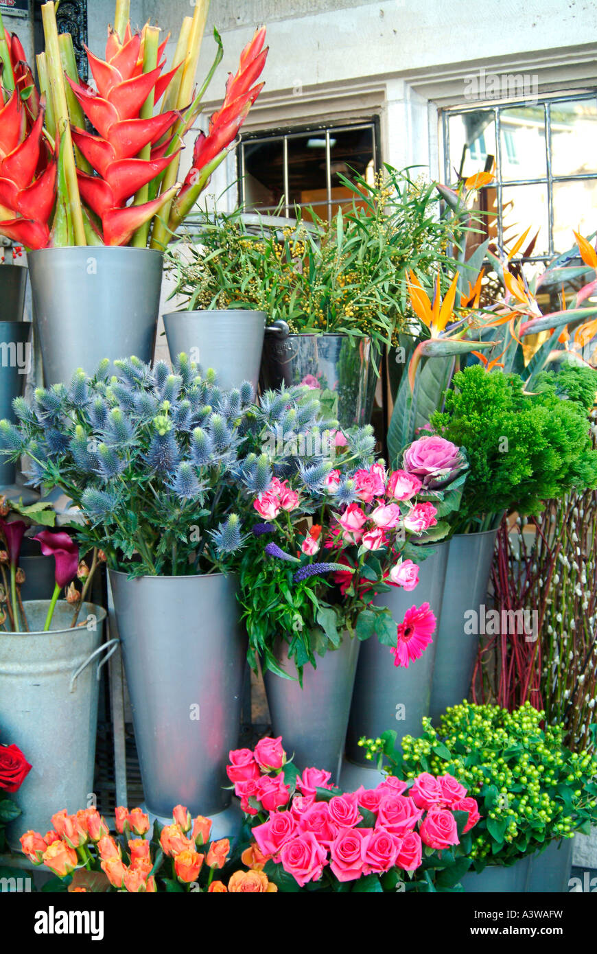 Flower sellers display London Stock Photo Alamy