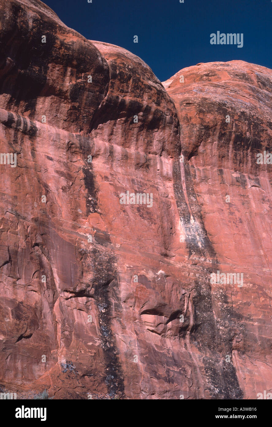 Entrada sandstone cliff with desert varnish Devils Garden Area Arches