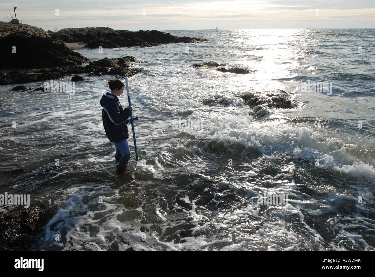 Student researcher measures wave velocity in Long Island Sound to see the effect on Algae Stock Photo