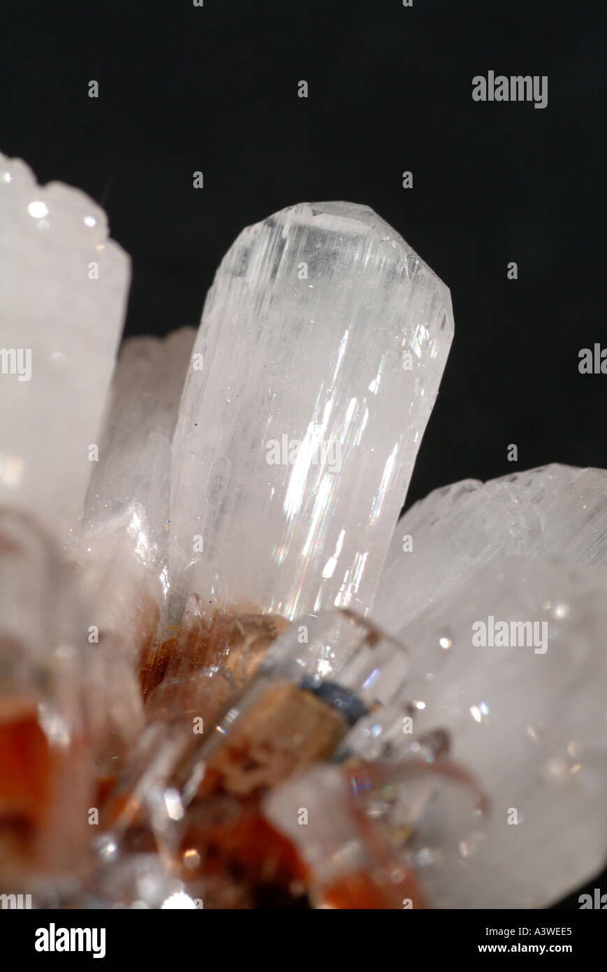 Mineral Hemimorphite, Large group of white translucent crystals, La Esmaralda Mine, Durango, Mexico Stock Photo