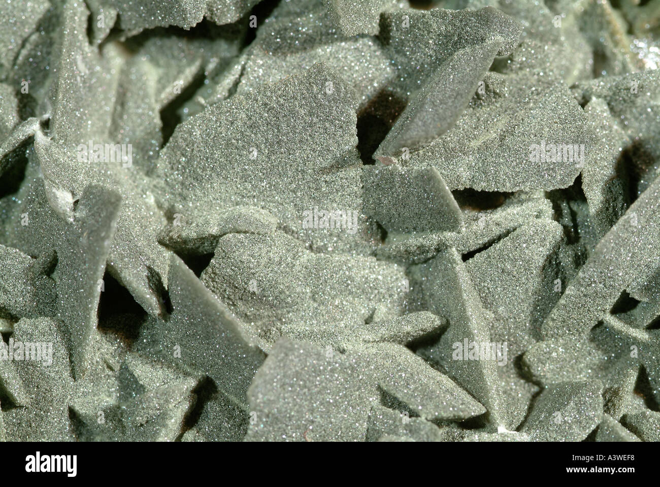 Mineral Ferro-axinite, axinite crystals coated with a dusting of chlorite, Puiva, Saranpual, Polar Urals, Russia Stock Photo