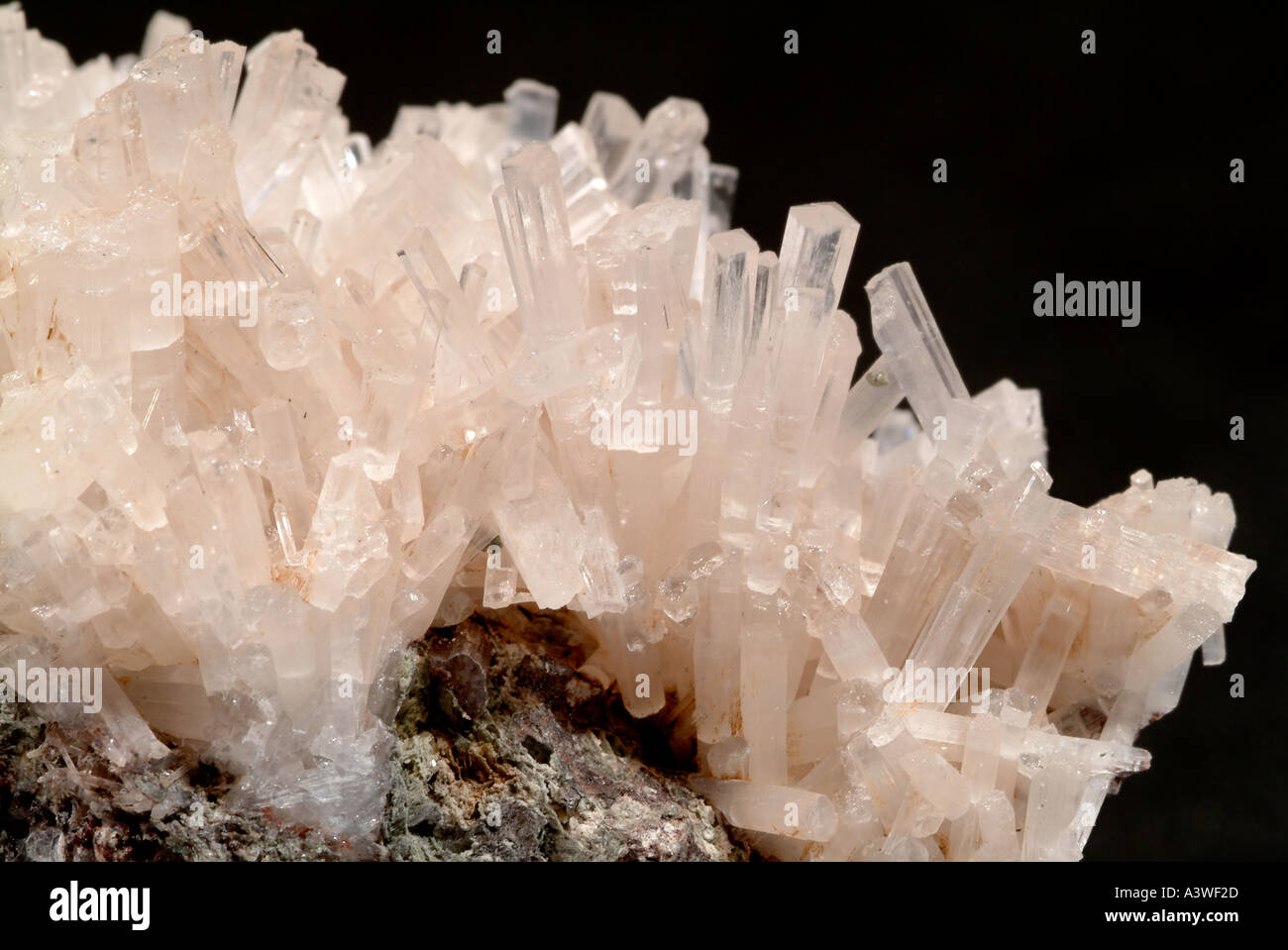 Detail of serpentine rock hi-res stock photography and Detail of serpentine rock hi-res stock photography and