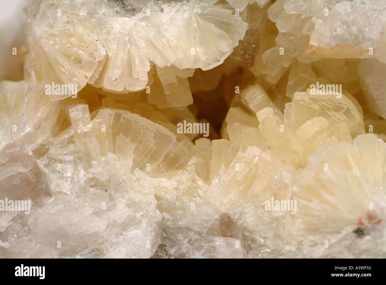 Serpentine mineral rock sample hires stock photography and images Alamy