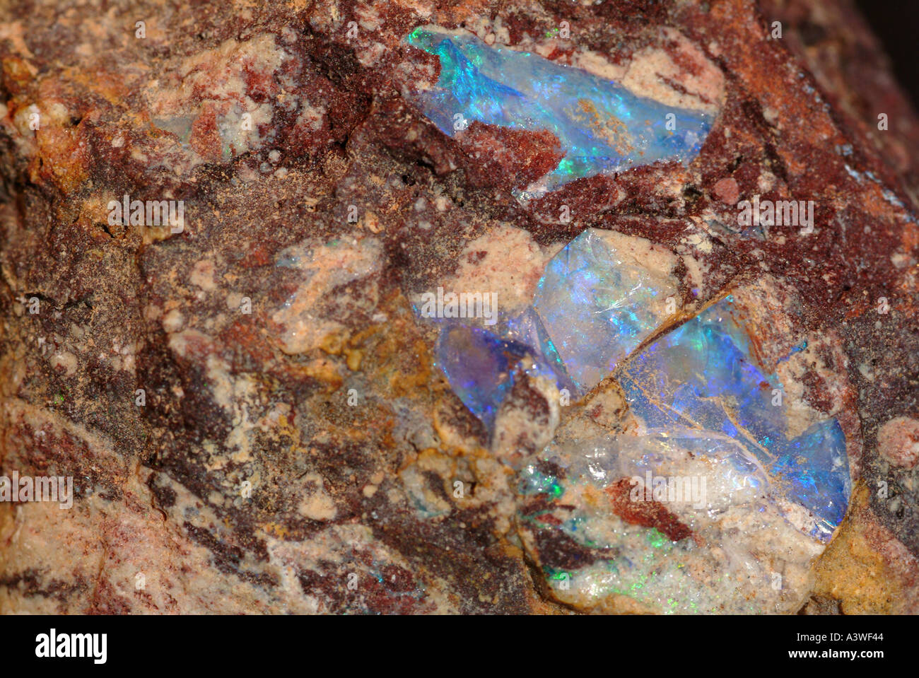 Mineral Opal, White Cliffs, New South Wales, Australia Stock Photo 2023235 Alamy Mineral Opal, White Cliffs, New South Wales, Australia Stock Photo 2023235 Alamy