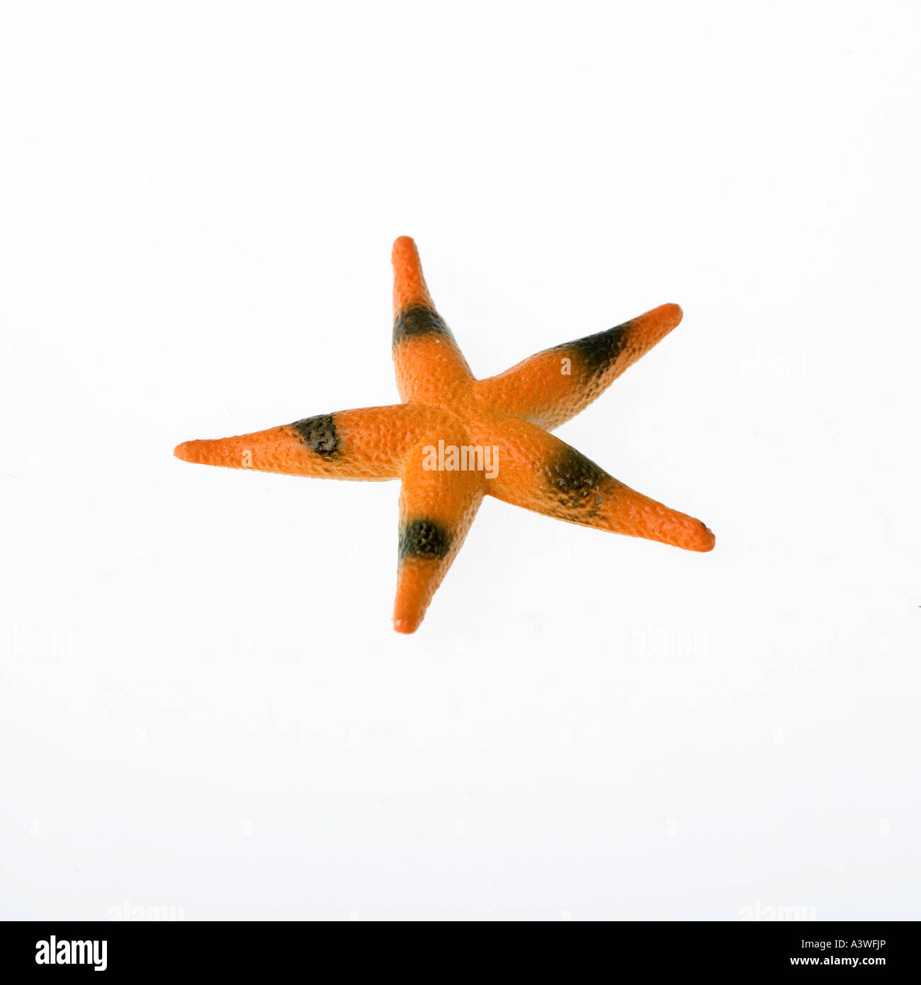 Toy Starfish Cutout on white background Stock Photo Alamy