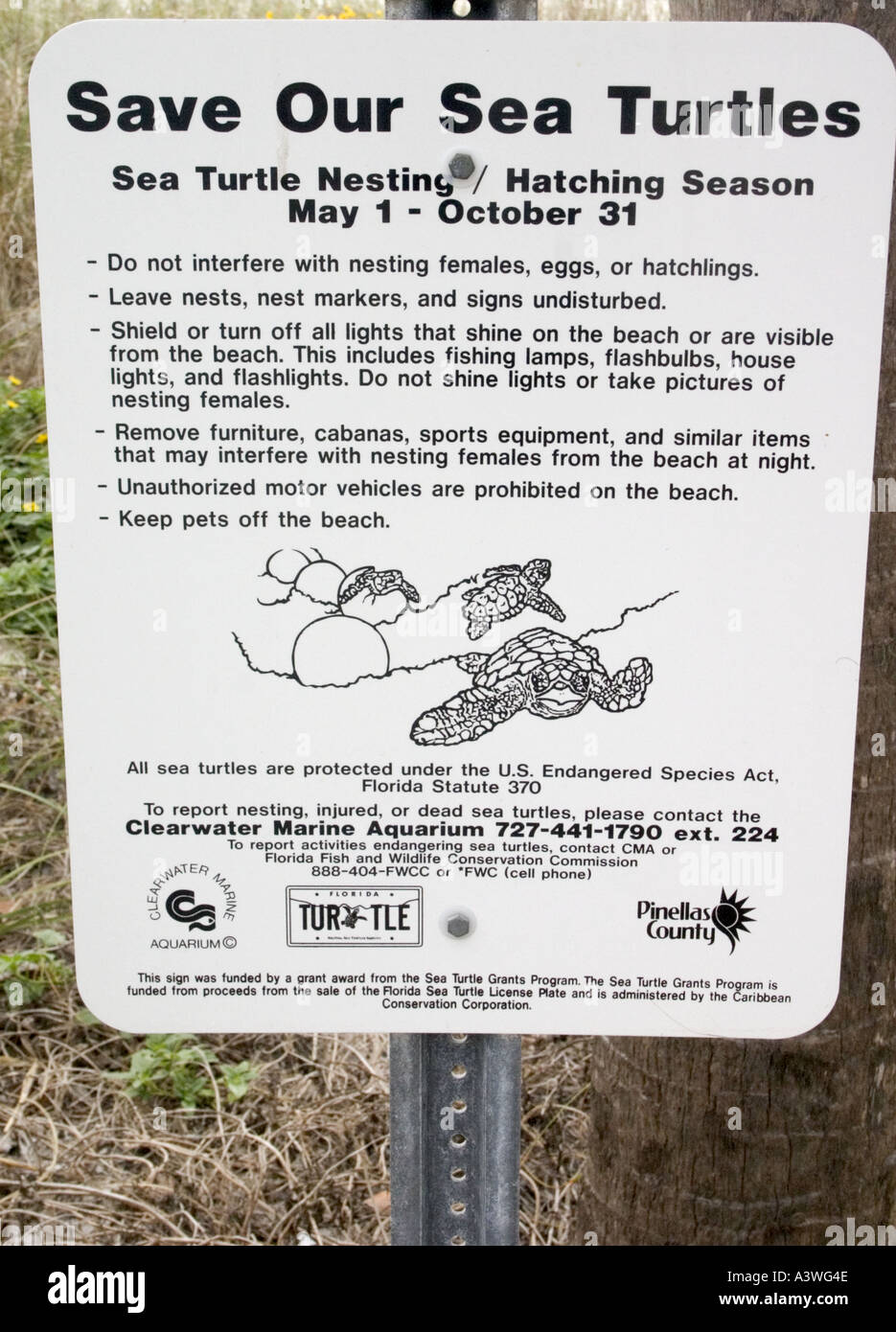 Save the turtles hi-res stock photography and images - Alamy