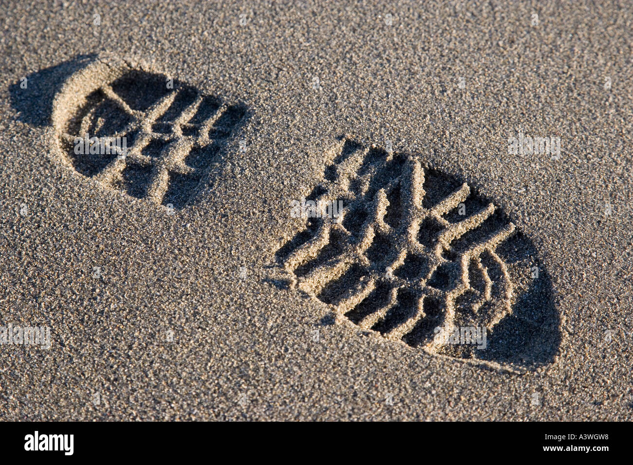 footprint in sand Stock Photo Alamy