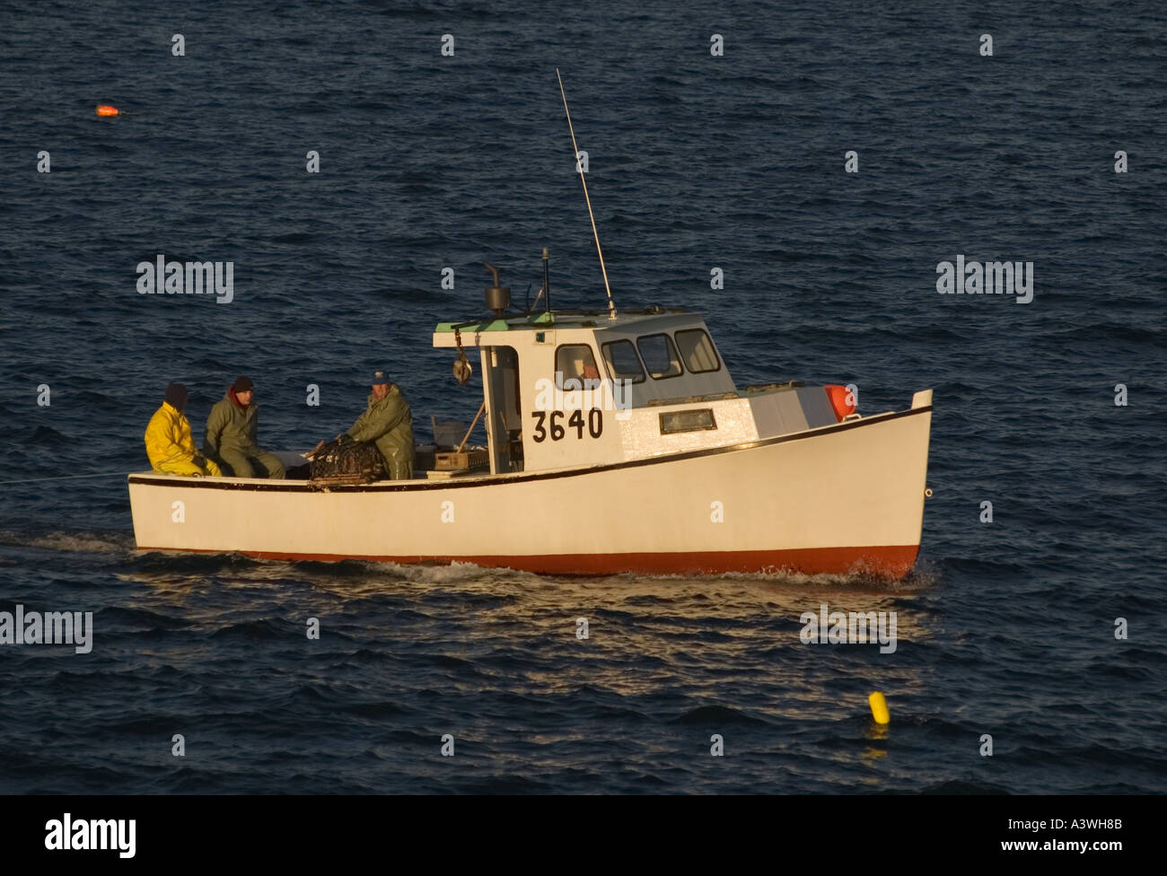 Canada Nova Scotia Louisbourg lobster boat off Lighthouse Point Stock
