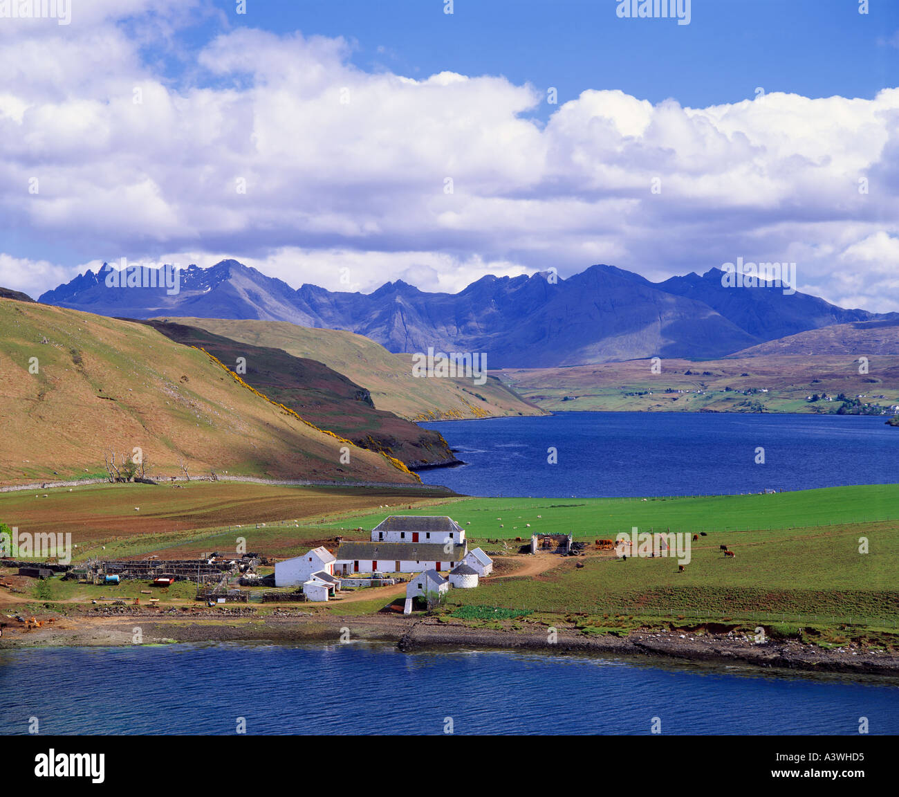 Scotland, Highland, Isle of Skye. View over Gesto Bay, Gesto House and Loch Harport to the Black Cuillin Stock Photo