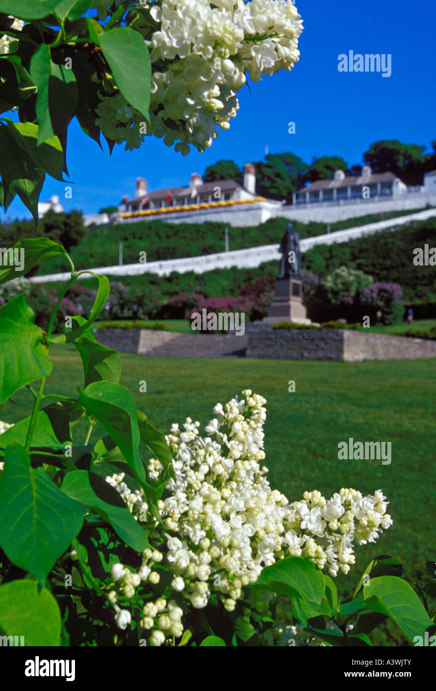 LILACS BLOOM ON THE LAWN BELOW FORT MACKINAC ON MACKINAC ISLAND