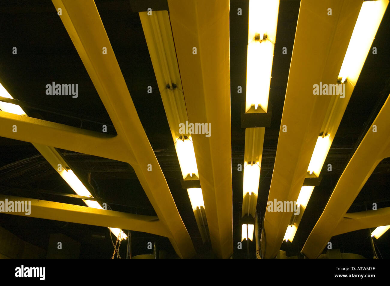 141004 Charles De Gaulle airport France Architecture at Charles De