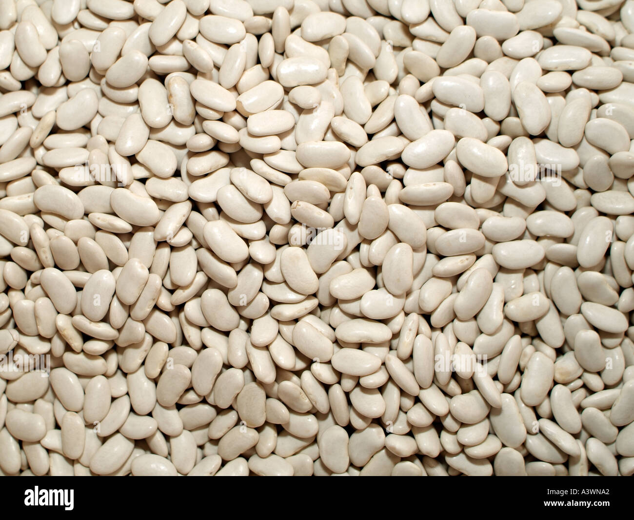 White common bean hi-res stock photography and images - Alamy