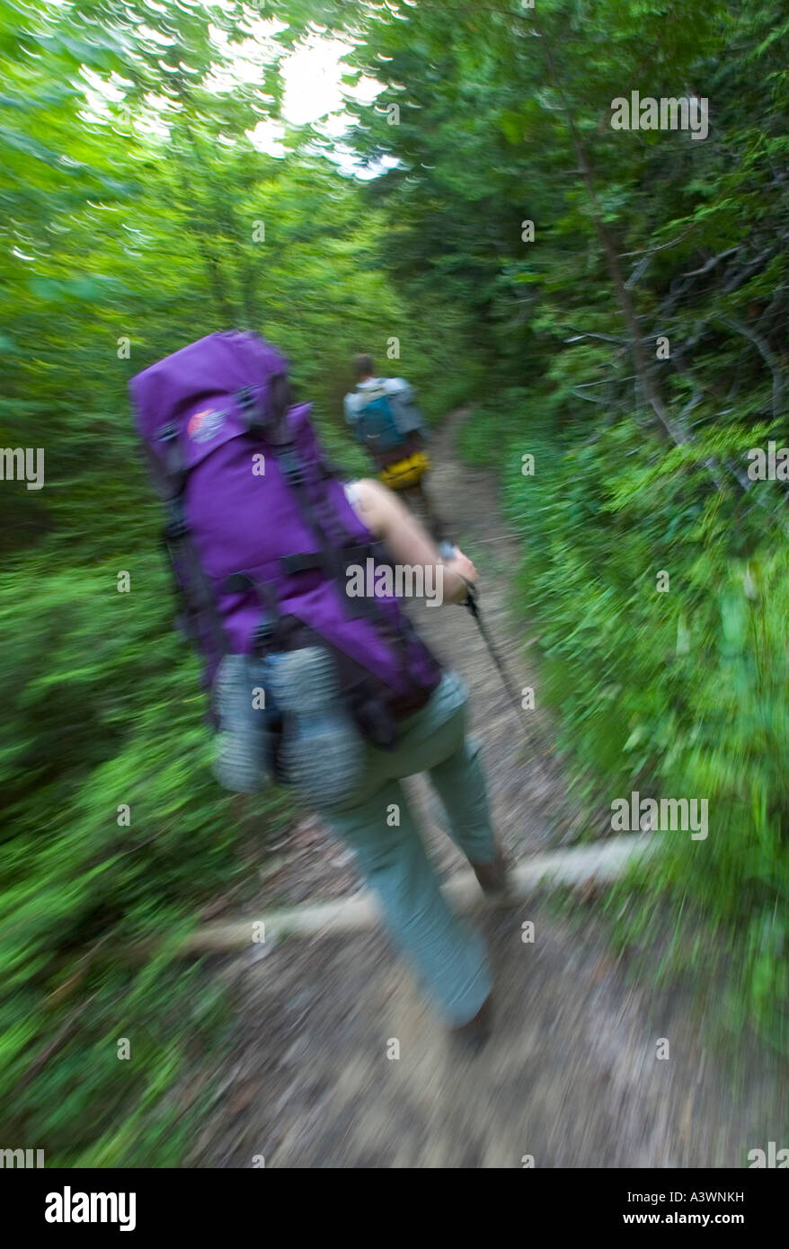 Backpackers on a trail in Pictured Rocks National Lakeshore near ...