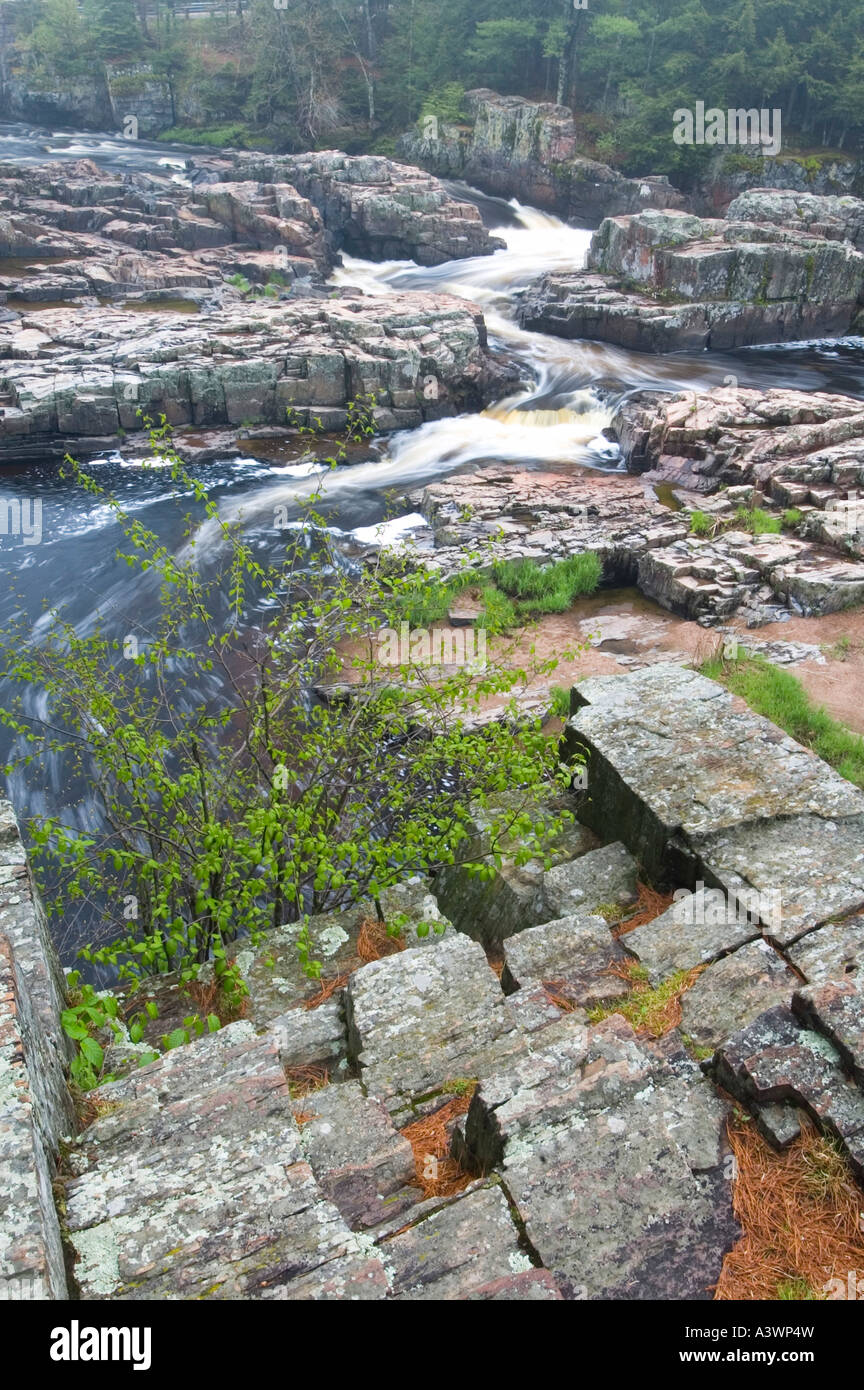 The Eau Claire River cuts through rock at the Dells of the Eau Claire River County Park in Marathon County Wisconsin Stock Photo
