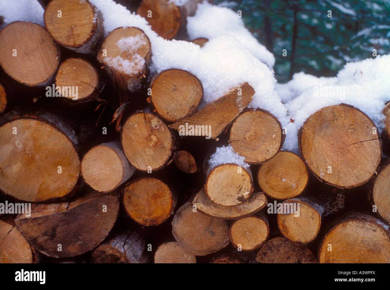 SNOWFALL ON A FIREWOOD PILE NEAR MARQUETTE MICHIGAN Stock Photo Alamy