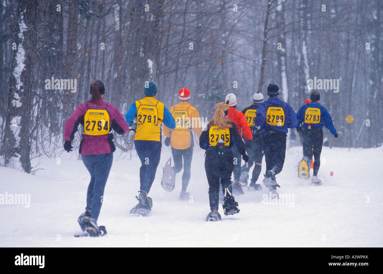 SNOWSHOERS IN THE NOQUEMANON CROSS COUNTRY SKI RACE LEAVE THE STARTING