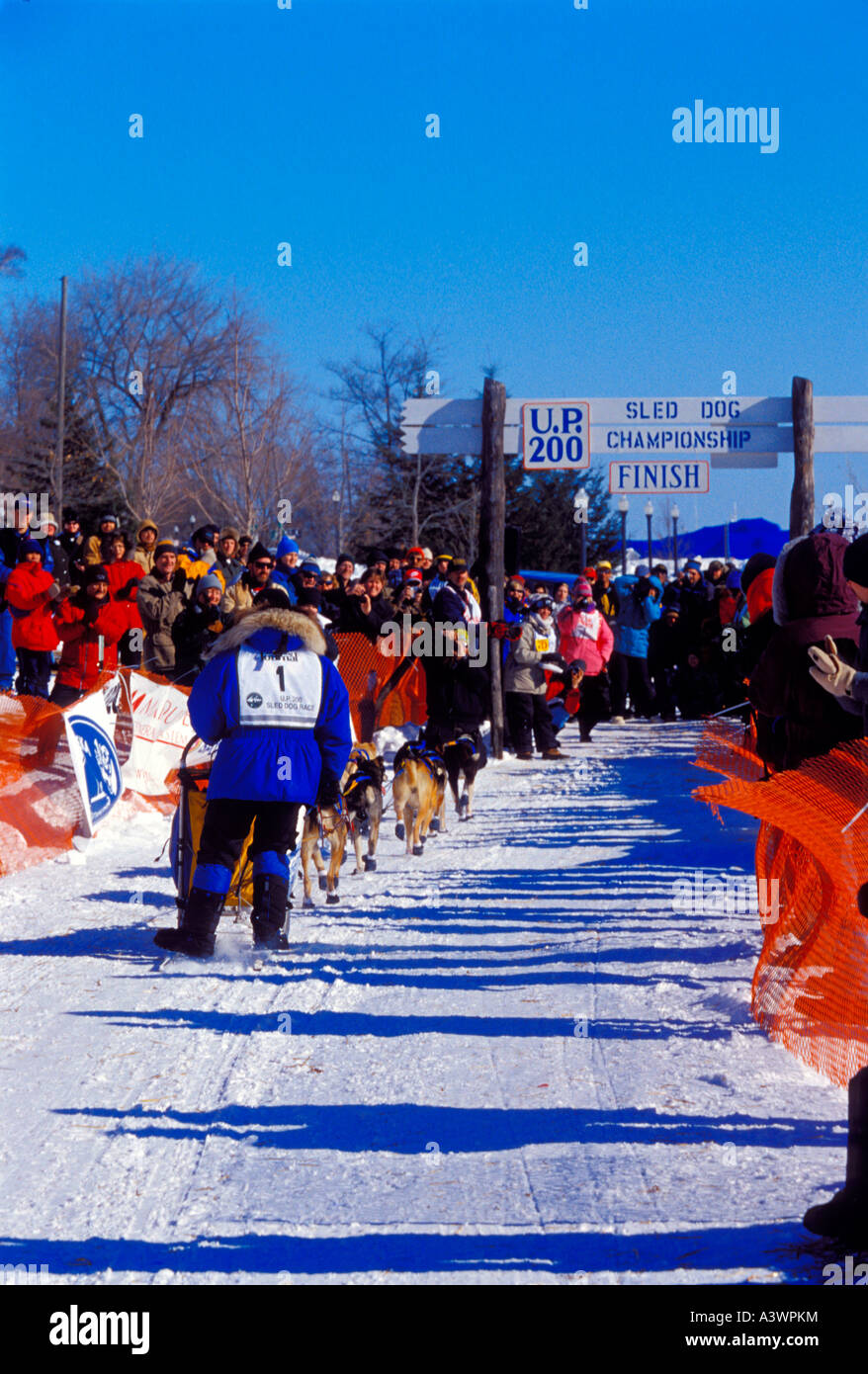 SPECTATORS WATCH AS A MUSHER AND TEAM FINISH THE U P 200 SLED DOG RACE