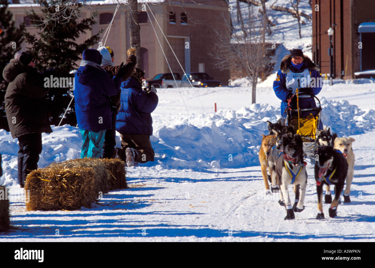 SPECTATORS WATCH AS A MUSHER AND TEAM FINISH THE U P 200 SLED DOG RACE IN MARQUETTE MICHIGAN Stock Photo