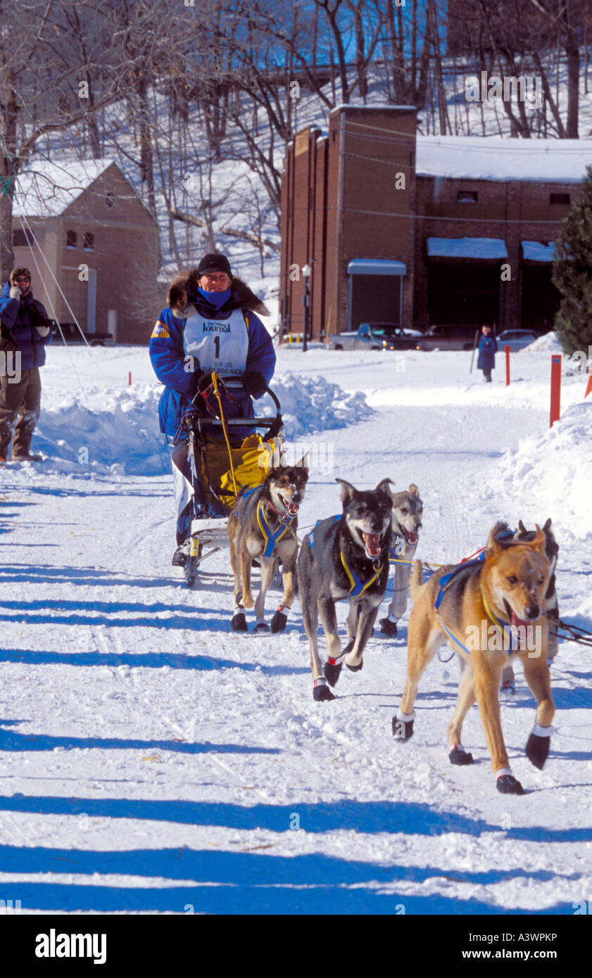 A MUSHER AND TEAM FINISH THE U P 200 SLED DOG RACE IN MARQUETTE MICHIGAN Stock Photo