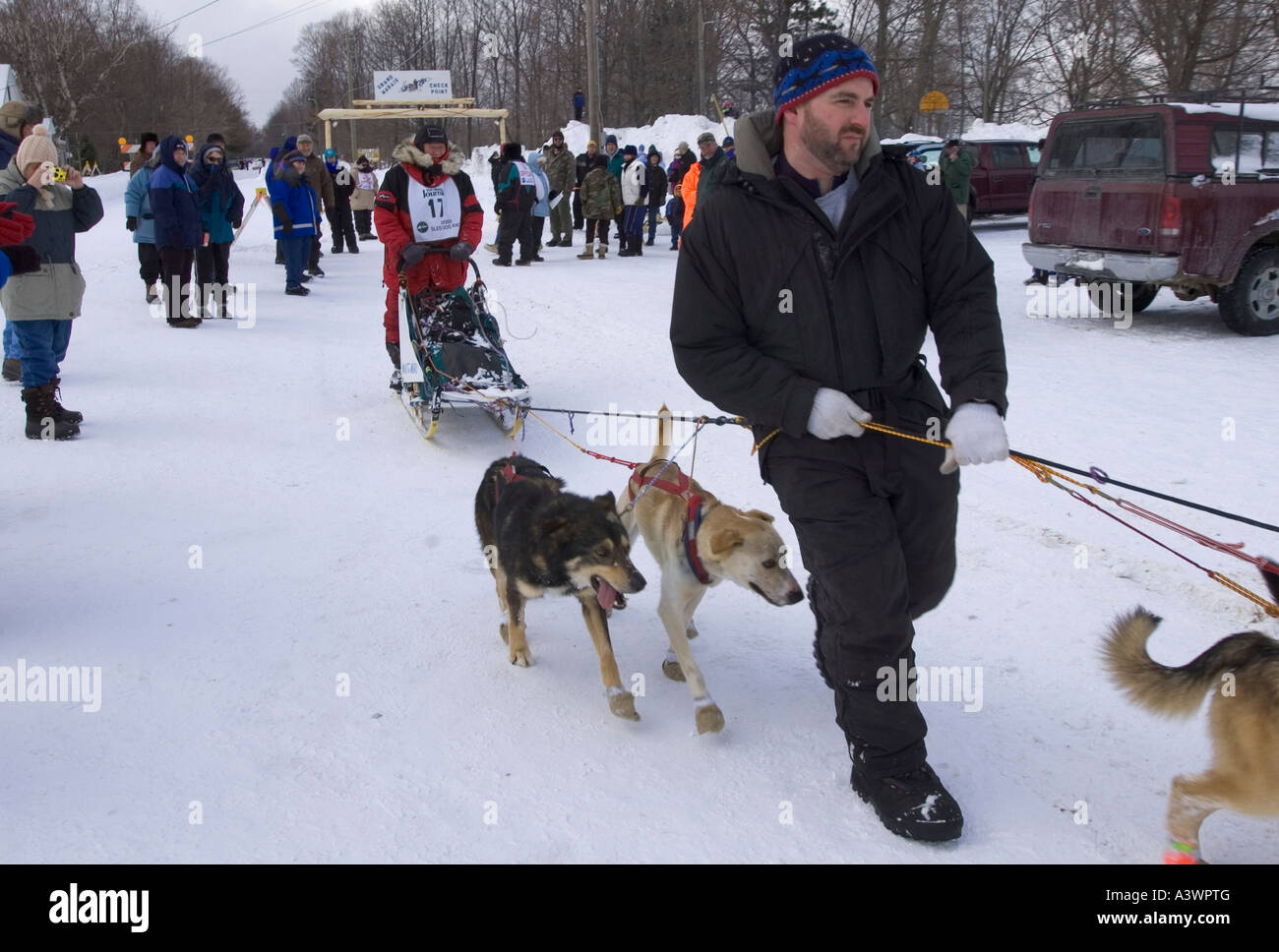 Handlers see to the dogs of a musher in the U P 200 Sled dog Championship at the Grand Marais Michigan checkpoint Stock Photo