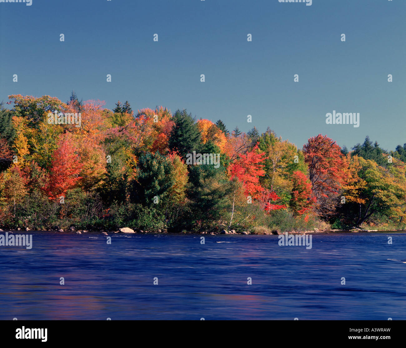 Moosehead Lake, Fall Season, Maine State, USA Stock Photo Alamy