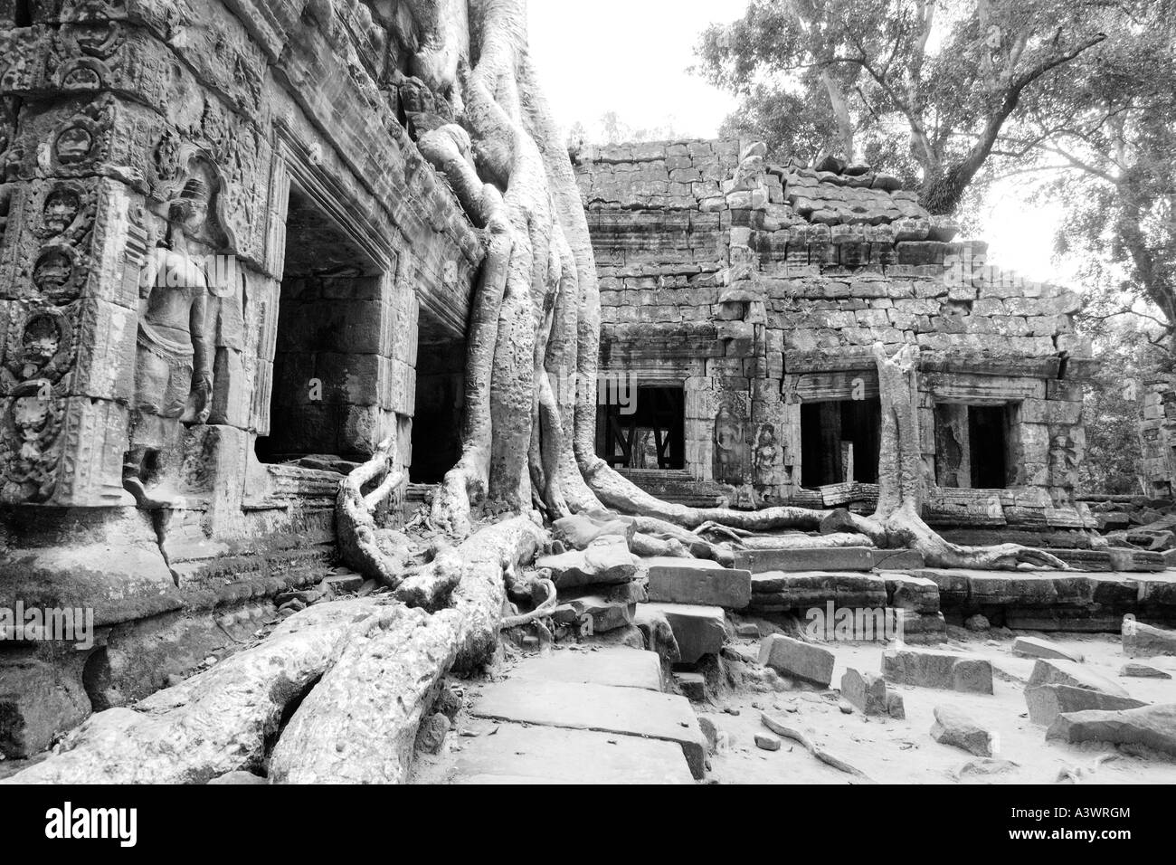 This is the ancient, Ta Prohm Temple, Cambodia. Stock Photo