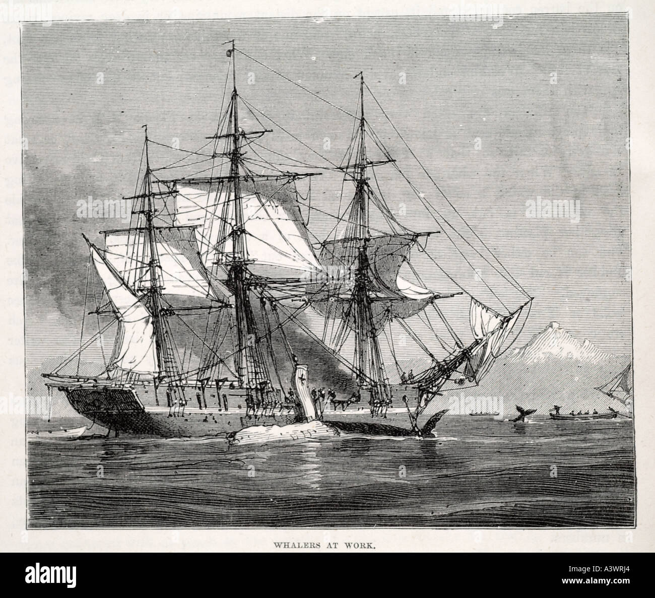 Whaling ship 19th century High Resolution Stock Photography and Images ...