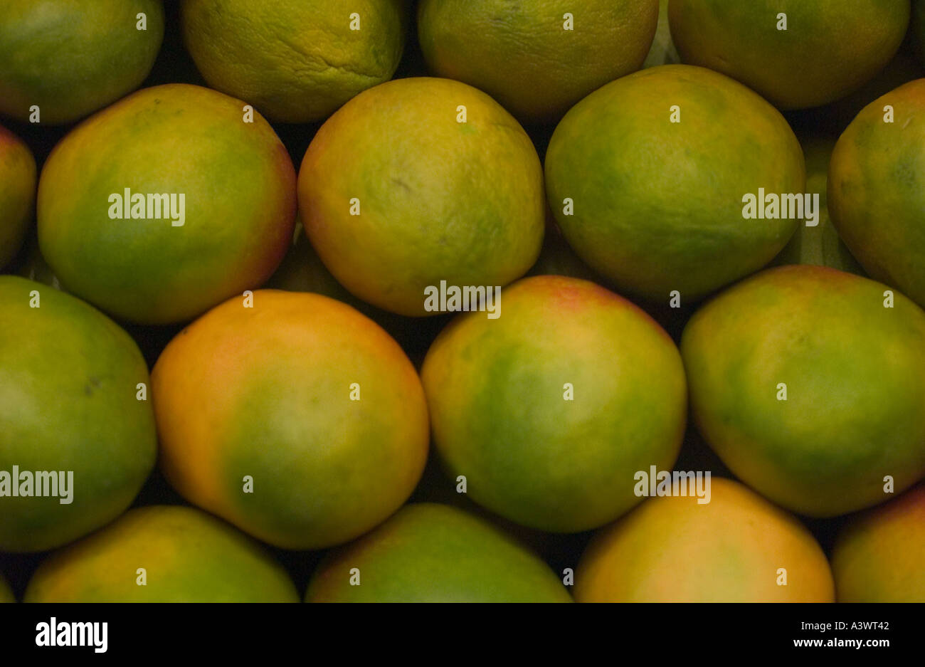 Mangoes mexico hires stock photography and images Alamy
