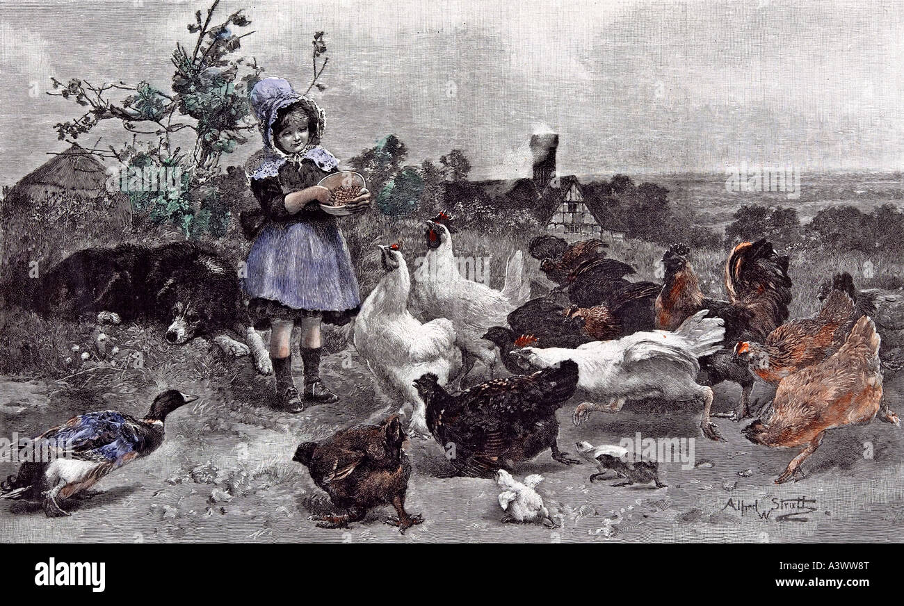 girl feeding chickens farm house bush sleeping dog asleep chicks hen duck smoke branch tree , 19th century Stock Photo