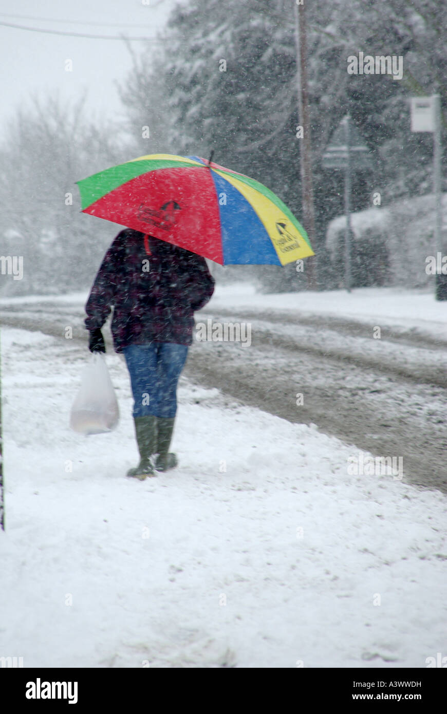 Pensioner holding golf brolly walking through snowfall to return home from village shop after collecting bread Stock Photo