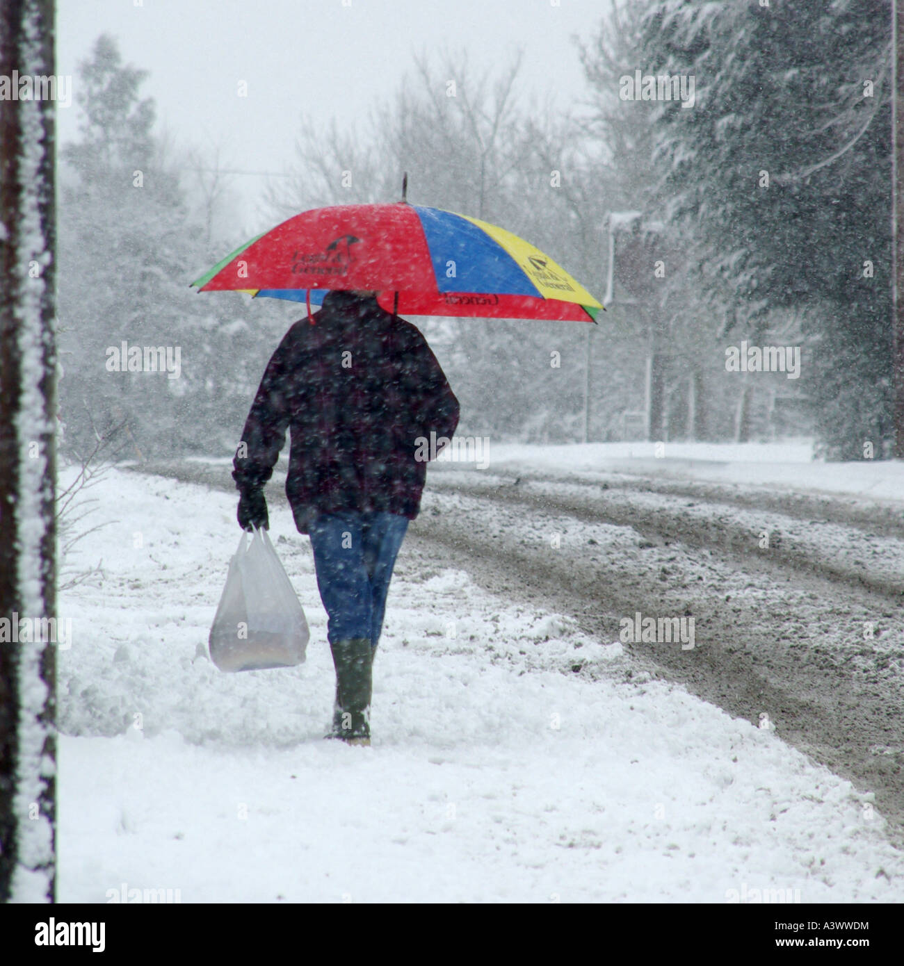 Female holding brolly hires stock photography and images Alamy