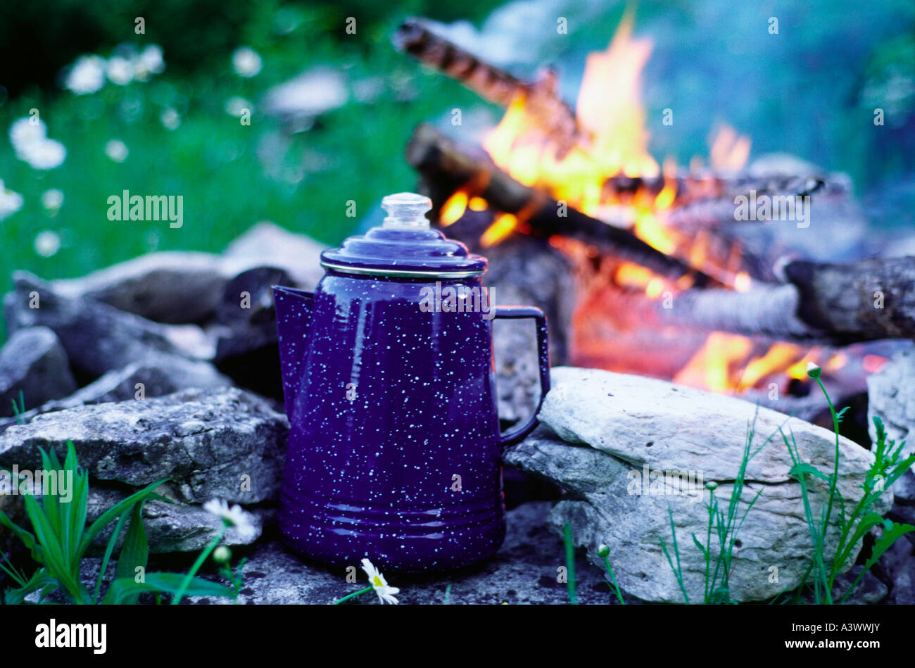 https://c8.alamy.com/comp/A3WWJY/blue-enamel-coffee-pot-heating-on-campfire-in-wild-flower-meadow-A3WWJY.jpg