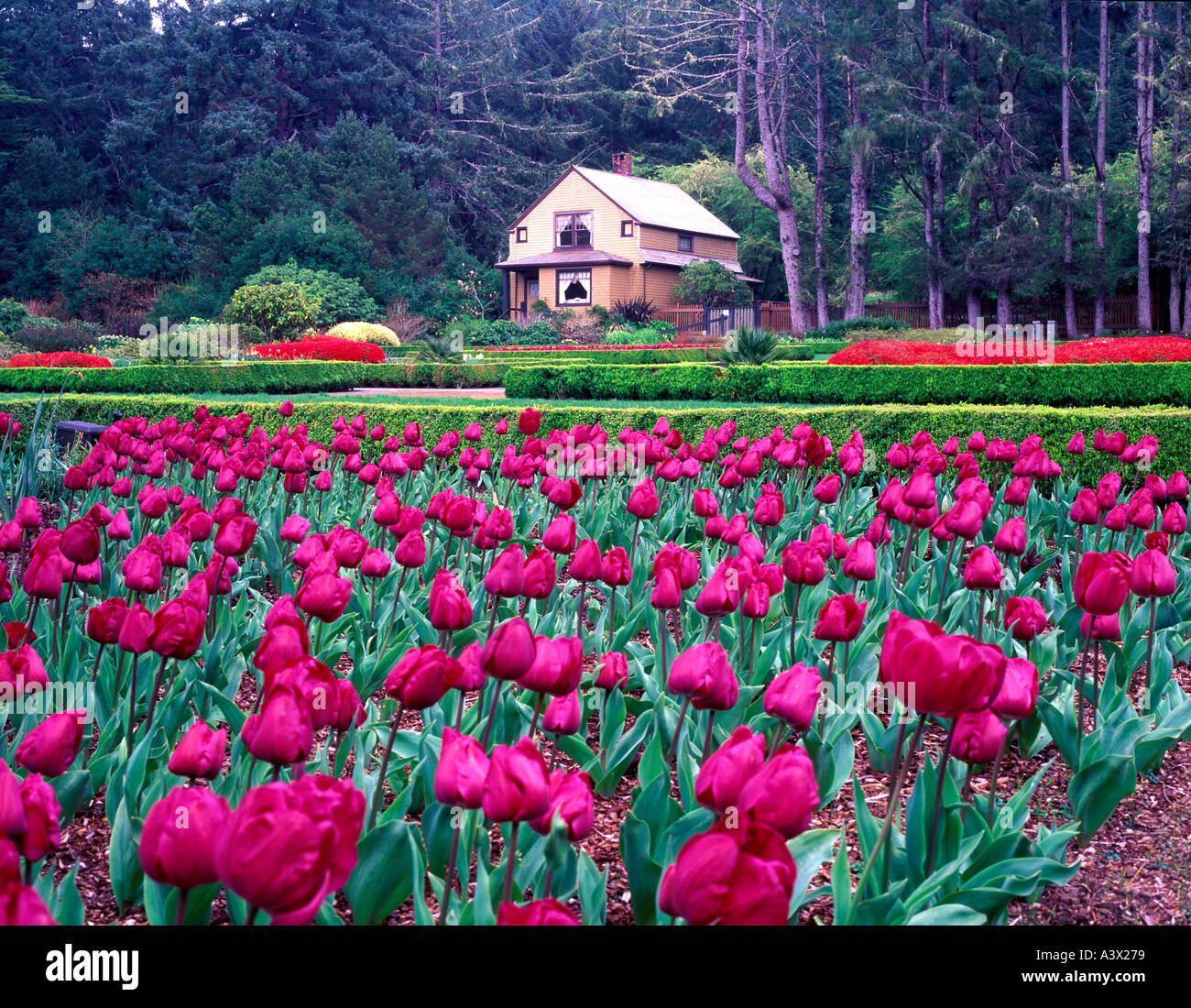 Shore acres gardens hi-res stock photography and images - Alamy