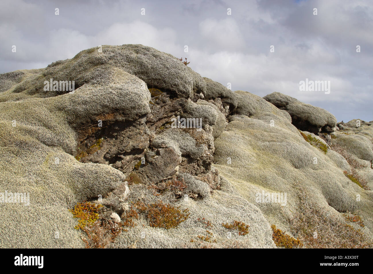 Pillow lava formations covered in mosses and other plants Land brot south east Iceland Stock