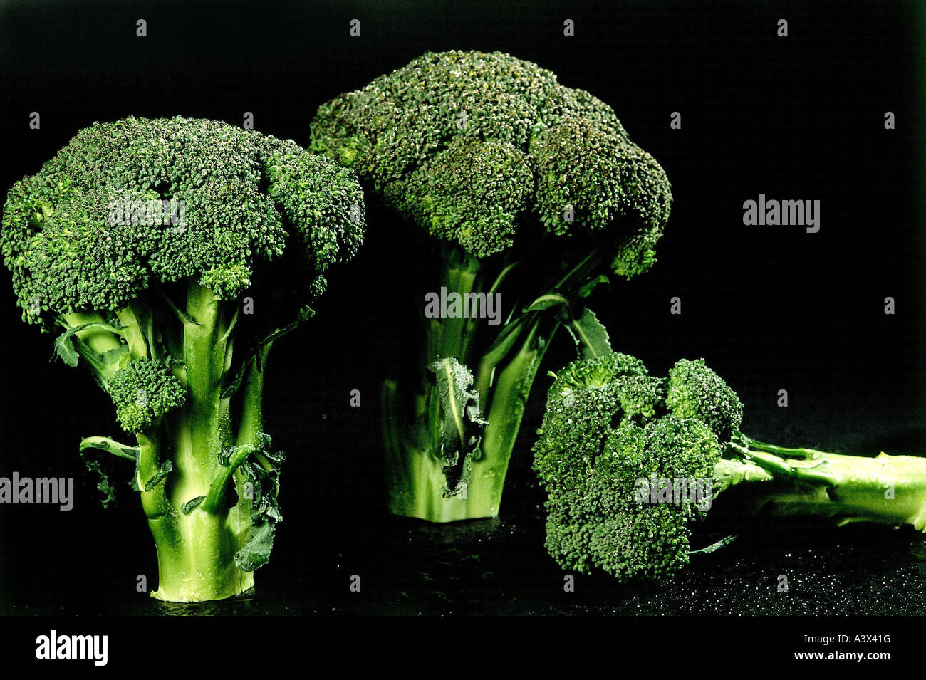 botany, Broccoli, (Brassica italica), studio shot, cabbage, vegetable, vegetables, Cruciferae, Brassicaceae, Dilleniidae, Cappar Stock Photo