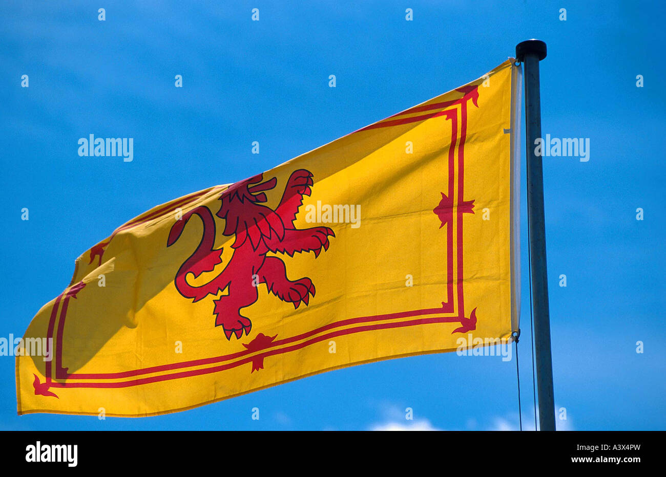Lion Rampant Flag One of the national emblems of Scotland Stock Photo