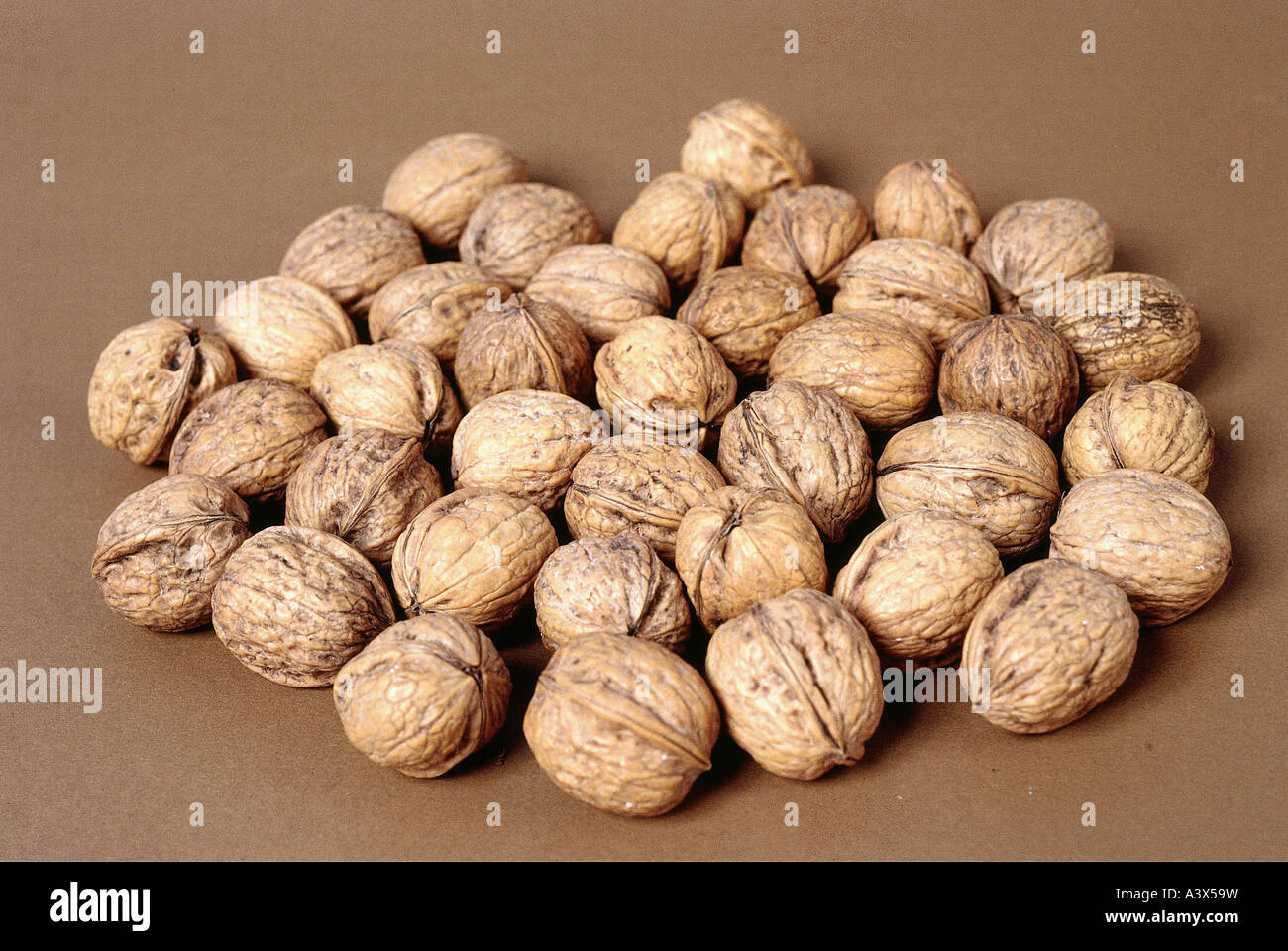 Botany, Walnut, (Juglans), Persian Walnut, (Juglans Regia), Nuts, Harvest, Hamamelidae, Juglandaceae, Juglandales, Walnuts, Nut Stock Photo - Alamy