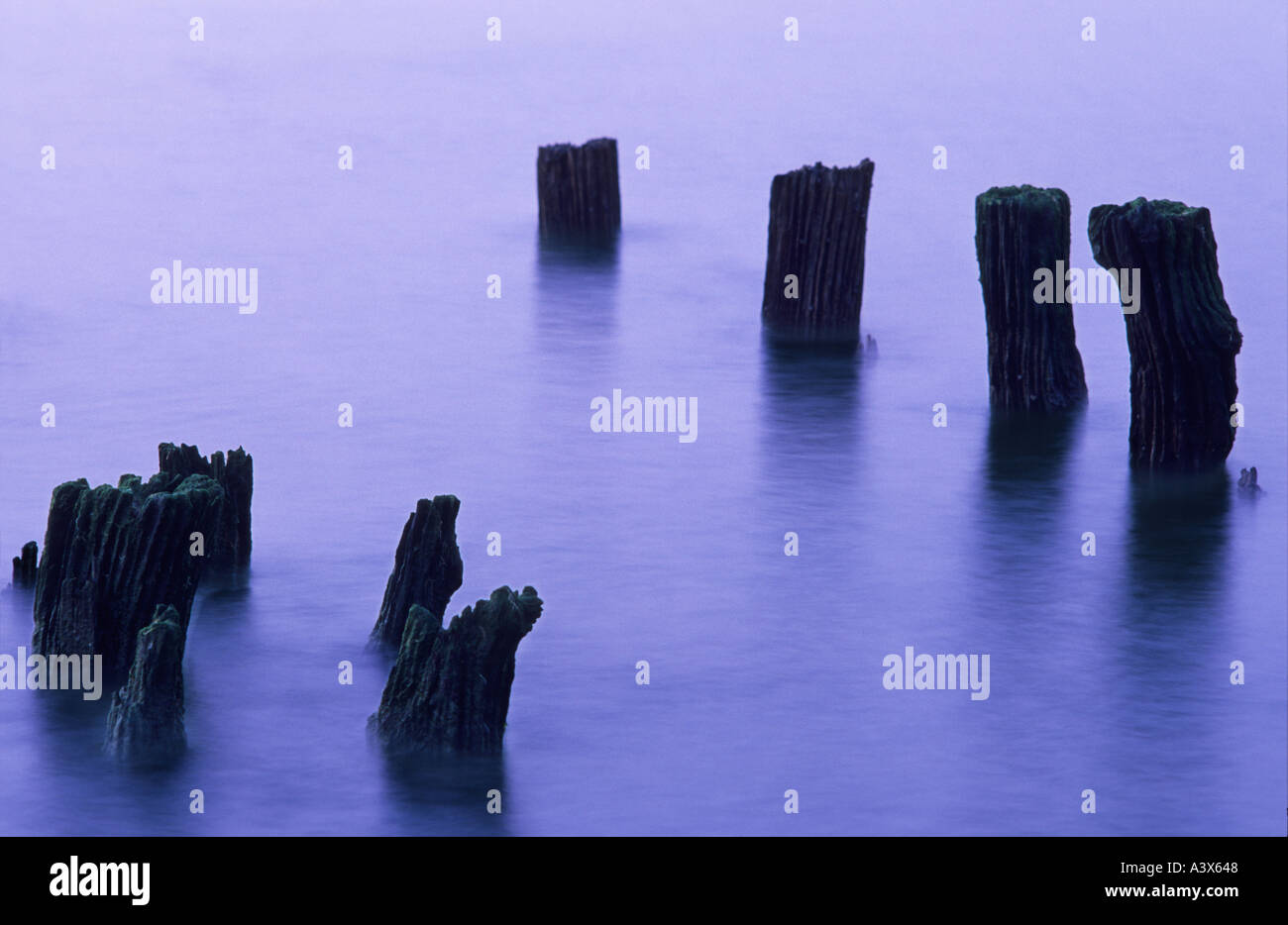 post from the ancient slip way Whitstable Kent England emerging from a blue misty sea Stock Photo
