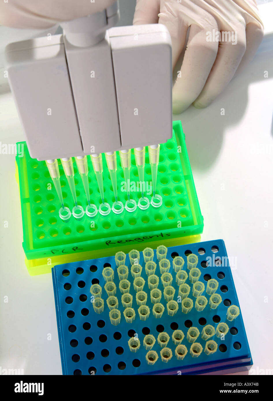 DNA laboratory, photo by Bruce Miller Stock Photo Alamy