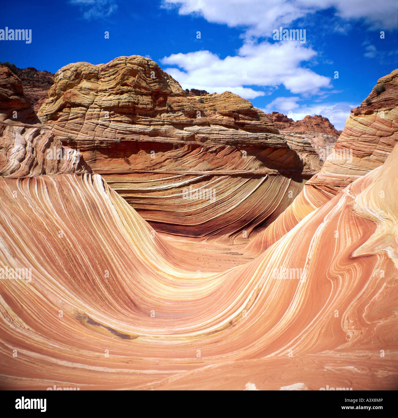 'geography / travel, America, Arizona, landscape / landscapes, rocks, 'Vermillion Cliffs Wilderness', nature, ' Stock Photo
