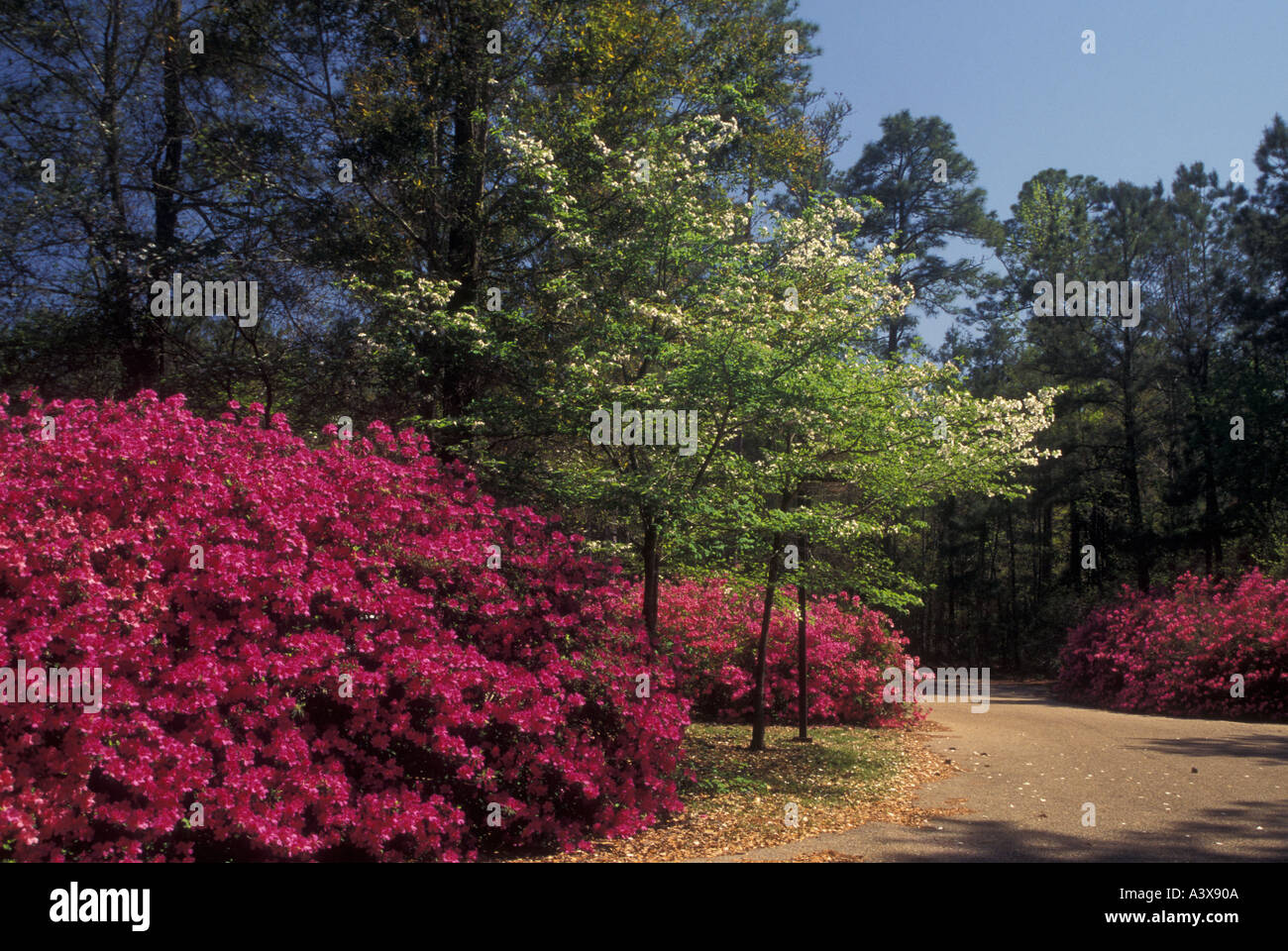 Mississippi gulf coast ocean springs hi-res stock photography and ...