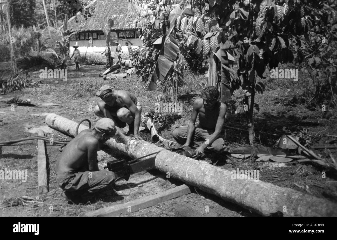 geography/travel, Indonesia, War of Independence 1947 - 1949, dutch troops cutting wood for an entrenchment, Bogor, Java, 1947, Buitenzorg, occupation, Dutch East Indies, colonialism, military, Netherlands, Asia, 20th century, historic, historical, people, 1940s, Stock Photo