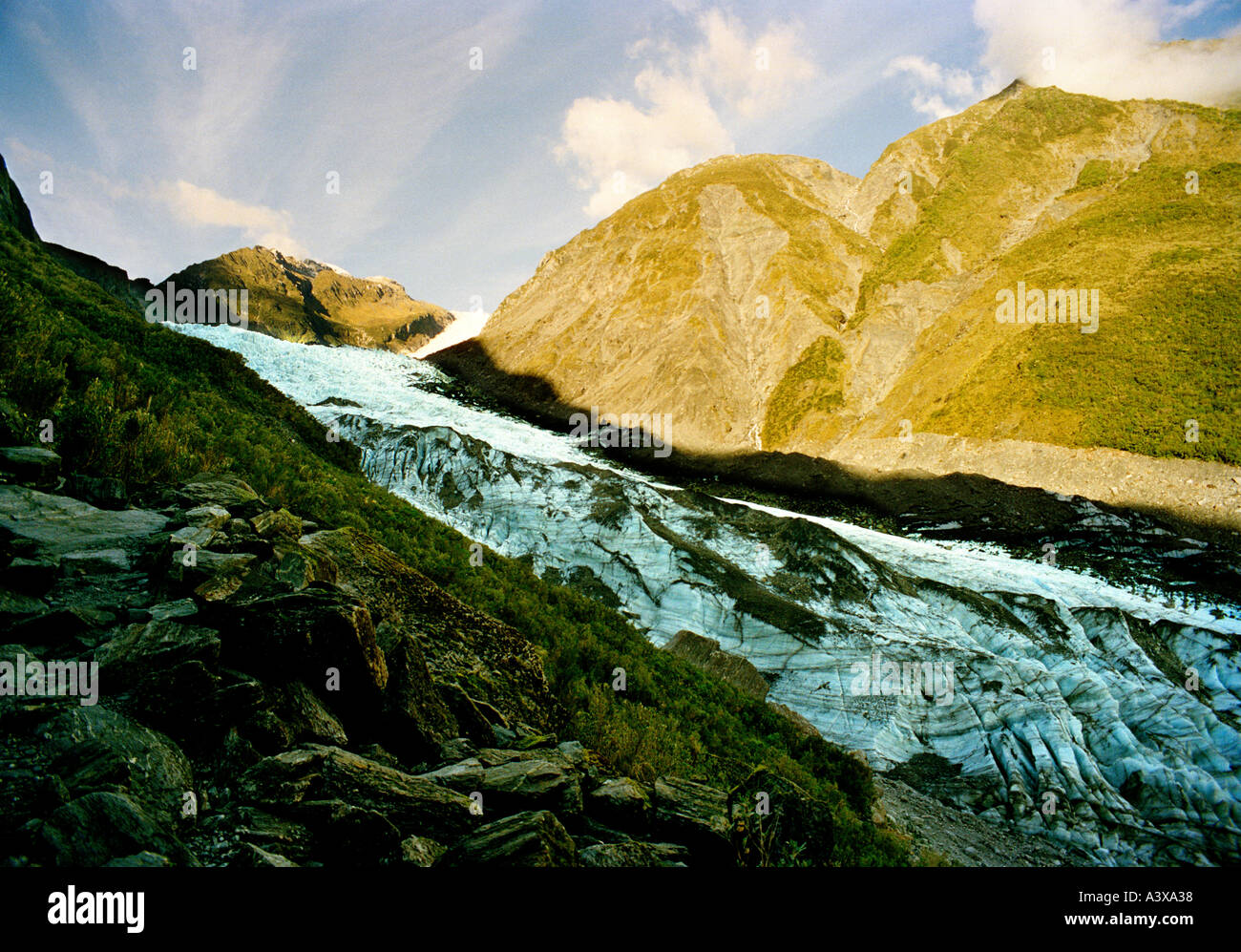 Fox Glacier, South Island, New Zealand Stock Photo Alamy